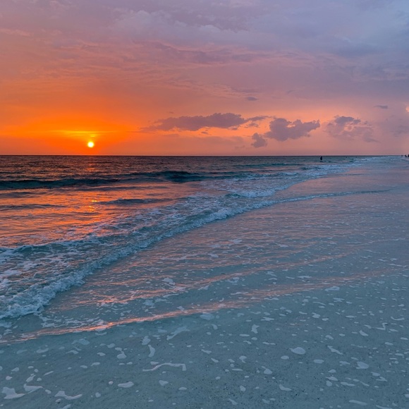 Meet your Posher, Annie! - Picture 3 of 9